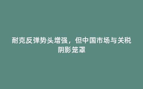 耐克反弹势头增强，但中国市场与关税阴影笼罩