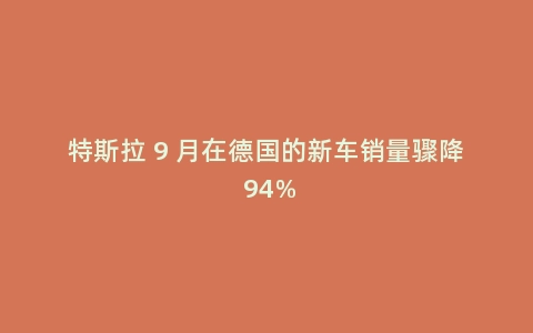 特斯拉 9 月在德国的新车销量骤降 94%