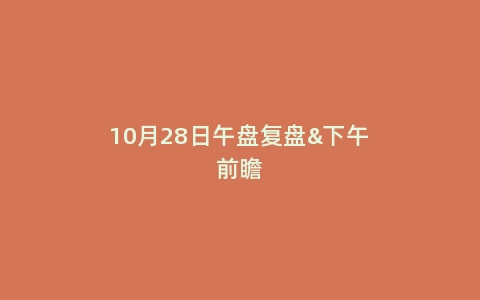 10月28日午盘复盘&下午前瞻
