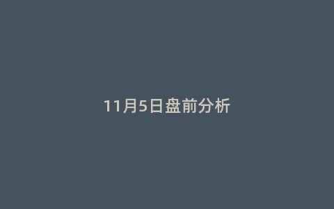 11月5日盘前分析