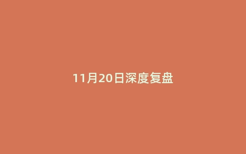 11月20日深度复盘