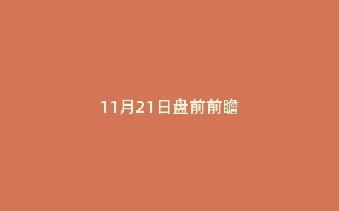 11月21日盘前前瞻